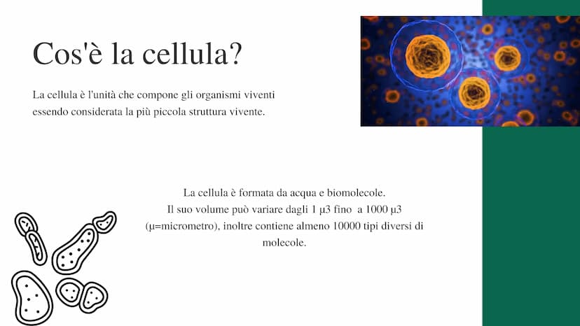 La cellula
e i suoi
organuli
Pietro Ferrario
y Concetti chiave
Cos'è una cellula
Come si suddividono
Da cosa è formata Cos'è la cellula?
La 