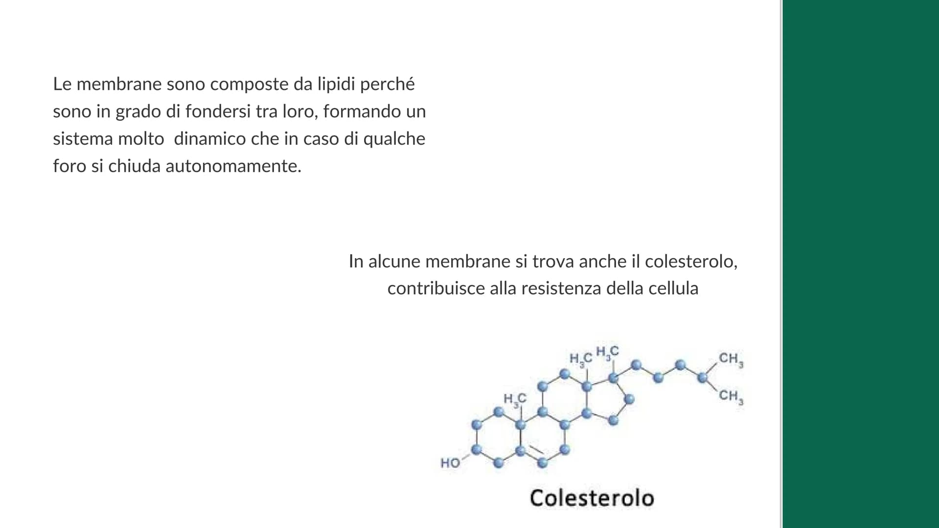 La cellula
e i suoi
organuli
Pietro Ferrario
y Concetti chiave
Cos'è una cellula
Come si suddividono
Da cosa è formata Cos'è la cellula?
La 