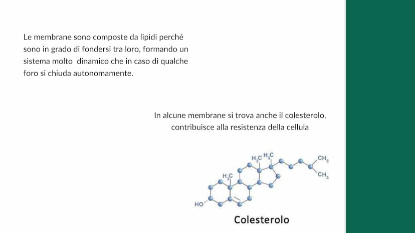 La cellula
e i suoi
organuli
Pietro Ferrario
y Concetti chiave
Cos'è una cellula
Come si suddividono
Da cosa è formata Cos'è la cellula?
La 