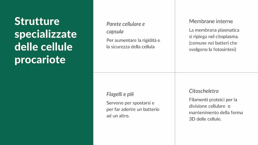 La cellula
e i suoi
organuli
Pietro Ferrario
y Concetti chiave
Cos'è una cellula
Come si suddividono
Da cosa è formata Cos'è la cellula?
La 