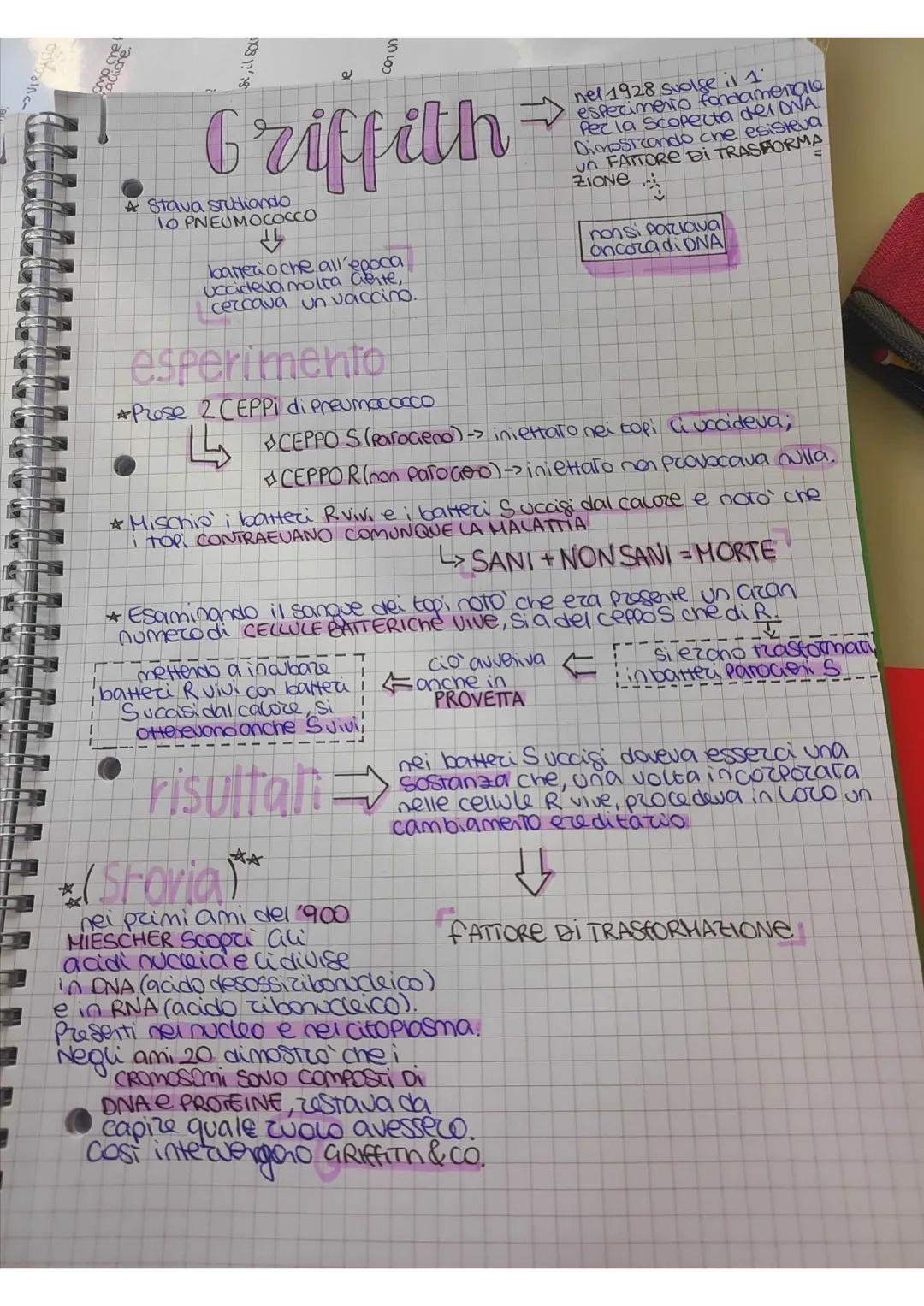 Esperimenti di Griffith, Avery, Hershey e Chase sul DNA