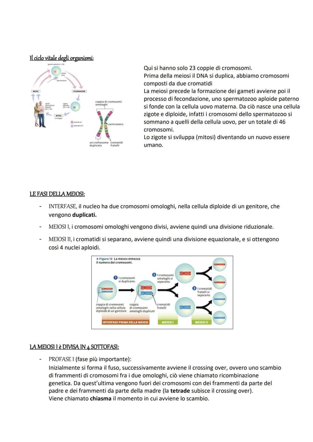 La riproduzione cellulare
Mitosi e meiosi
Per riprodursi, negli organismi unicellulari, avviene la divisione cellulare, quindi una CLONAZION