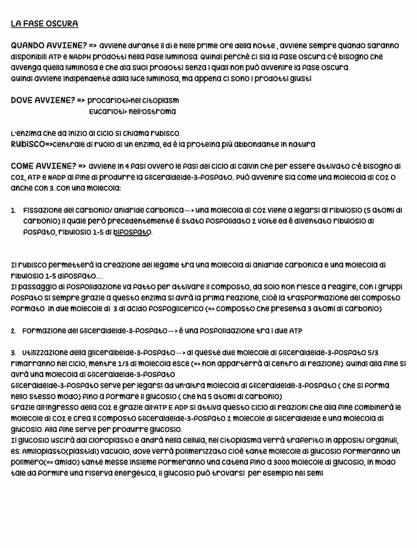 La fotosintesi clorofilliana
La fotosintesi clorofilliana-> è il processo mediante il quale una cellula/organismo vegetale, utilizzando
comp