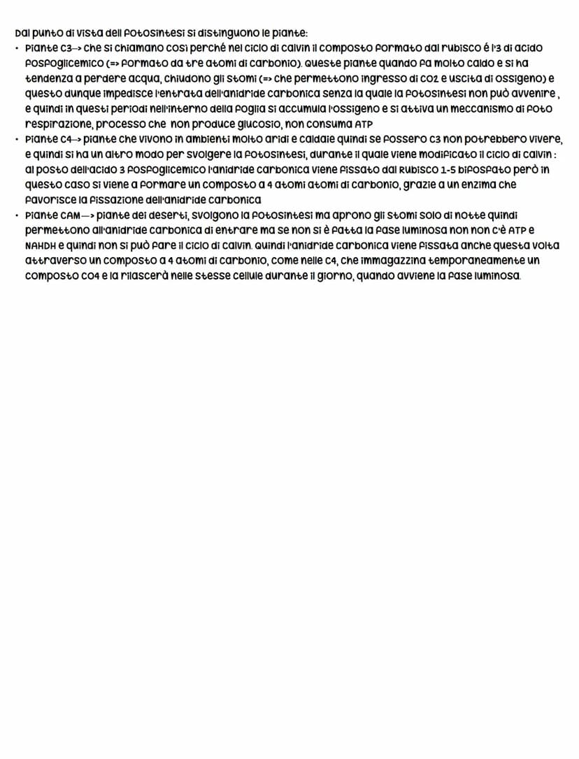 La fotosintesi clorofilliana
La fotosintesi clorofilliana-> è il processo mediante il quale una cellula/organismo vegetale, utilizzando
comp