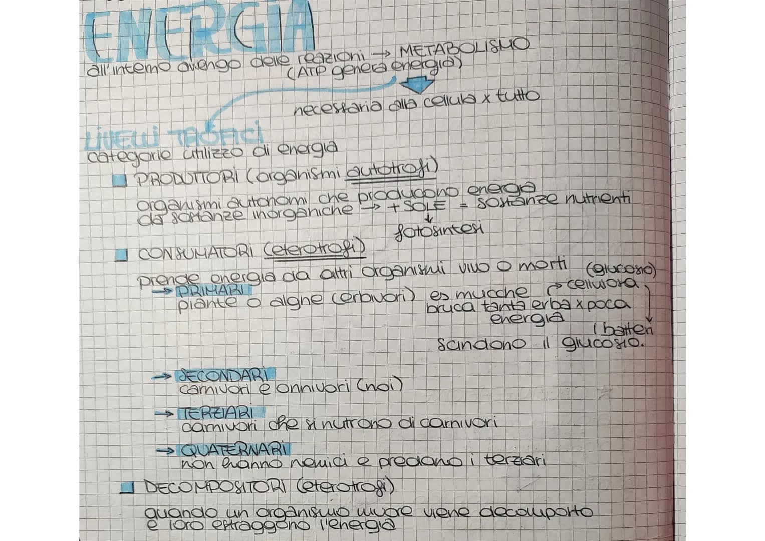 ENERGIA
all'intero avengo delle reazioni
Liveti monci
Categorie utilizzo di energia
(ATP genera energia)
neceffaria alla cellula x tutto
MET