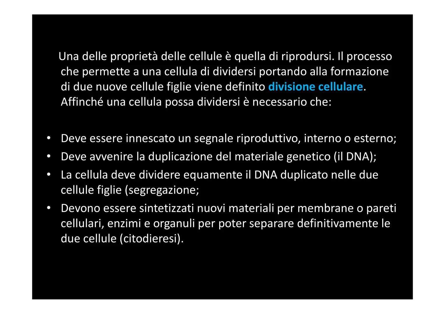 # LA DIVISIONE E IL CICLO CELLULARE Una delle proprietà delle cellule è quella di riprodursi. Il processo
che permette a una cellula di divi