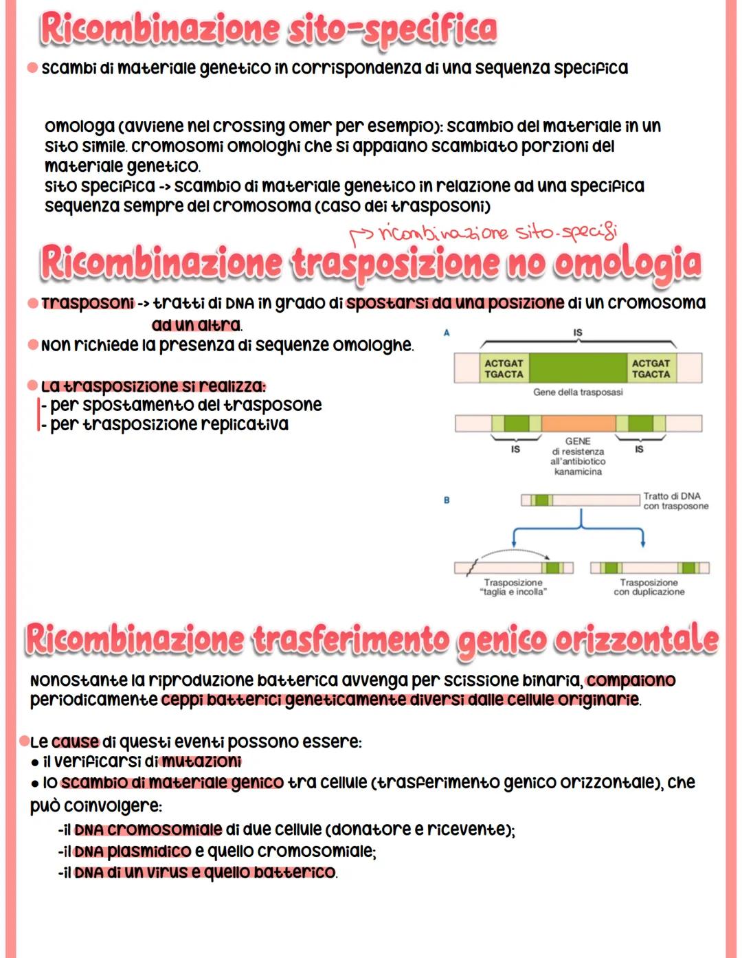 REGOLAZIONE
DELL'ESPRESSIONE GENICA
NEI PROCARIOTI
I geni che codificano per gli enzimi prodotti da una cellula procariote possono essere:
s