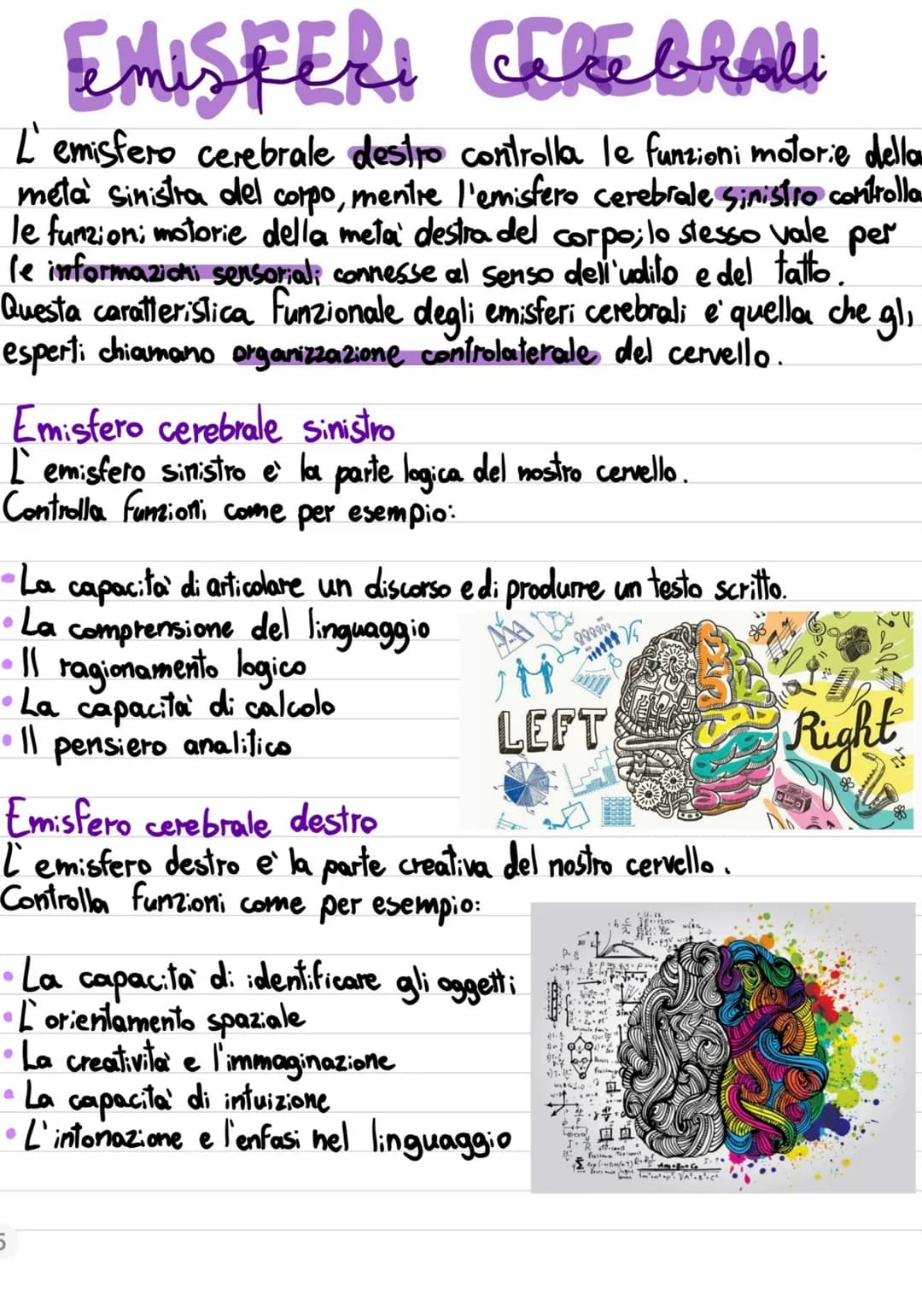 IL CUORE
|| cuore, insieme al cervello, e' l'organo più importante dell'organismo.
Infatti, il cuore funziona con una pompa che provvede ini