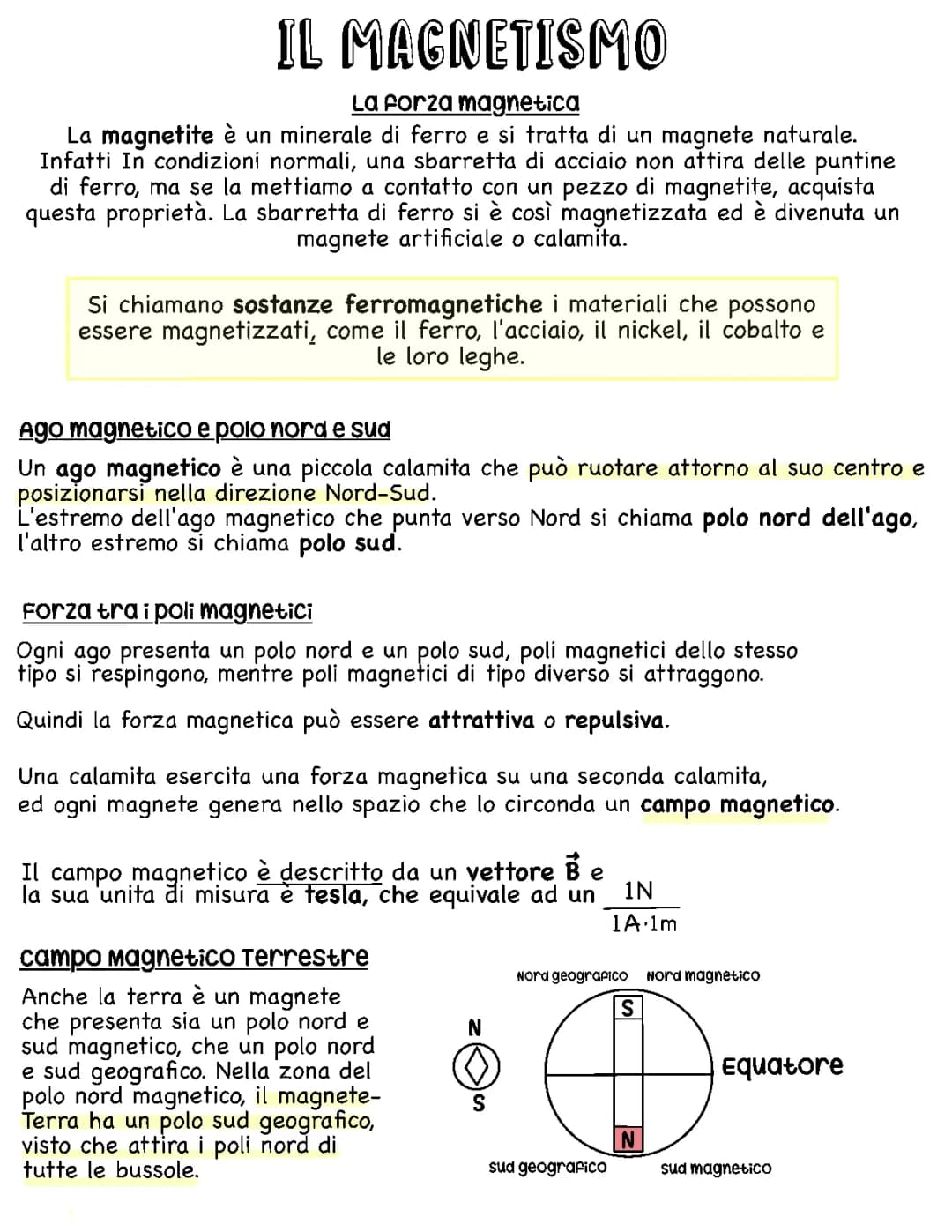 Il magnetismo