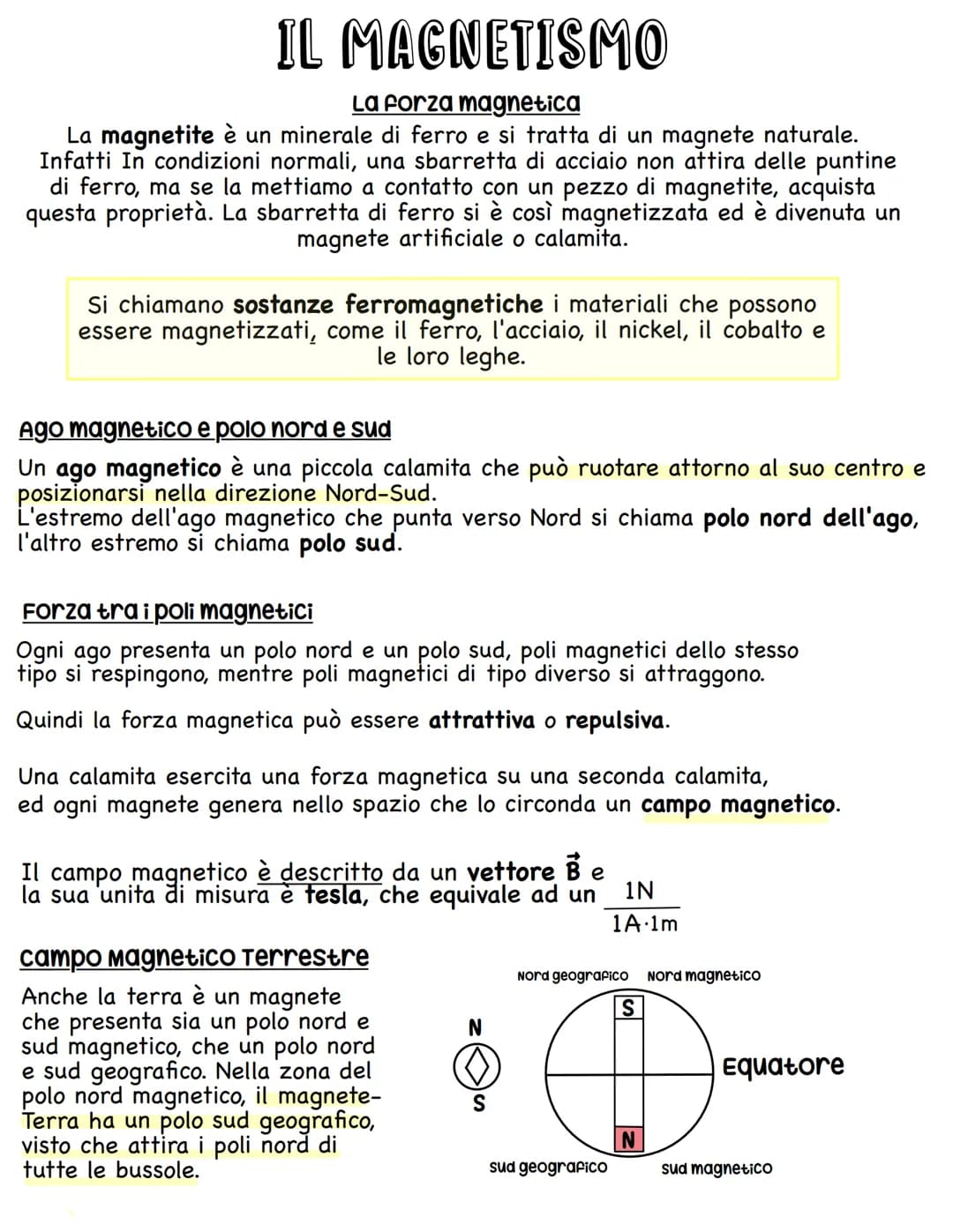 IL MAGNETISMO
La forza magnetica
La magnetite è un minerale di ferro e si tratta di un magnete naturale.
Infatti In condizioni normali, una 