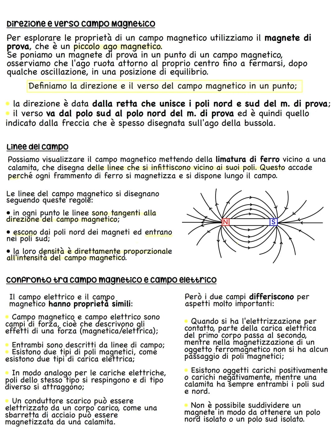 IL MAGNETISMO
La forza magnetica
La magnetite è un minerale di ferro e si tratta di un magnete naturale.
Infatti In condizioni normali, una 