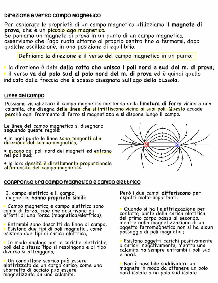 IL MAGNETISMO
La forza magnetica
La magnetite è un minerale di ferro e si tratta di un magnete naturale.
Infatti In condizioni normali, una 