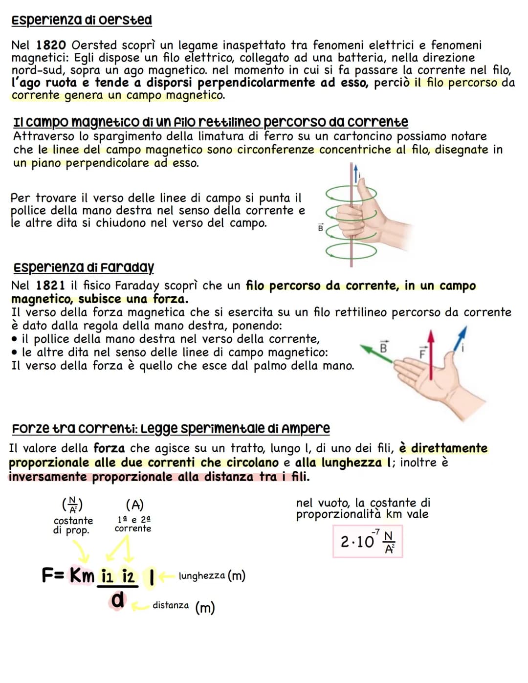 IL MAGNETISMO
La forza magnetica
La magnetite è un minerale di ferro e si tratta di un magnete naturale.
Infatti In condizioni normali, una 