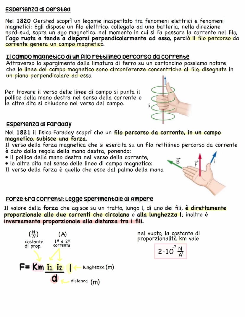 IL MAGNETISMO
La forza magnetica
La magnetite è un minerale di ferro e si tratta di un magnete naturale.
Infatti In condizioni normali, una 