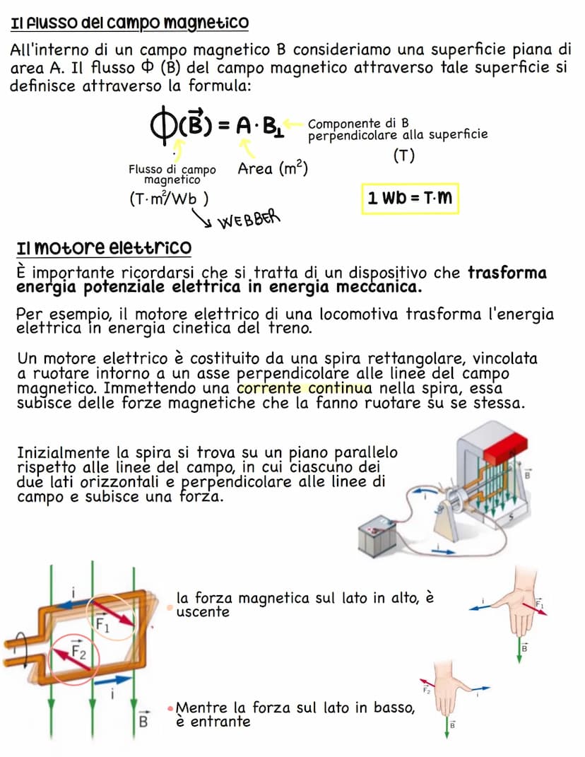 IL MAGNETISMO
La forza magnetica
La magnetite è un minerale di ferro e si tratta di un magnete naturale.
Infatti In condizioni normali, una 