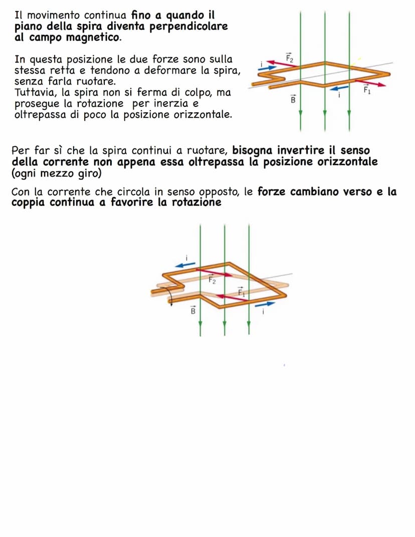 IL MAGNETISMO
La forza magnetica
La magnetite è un minerale di ferro e si tratta di un magnete naturale.
Infatti In condizioni normali, una 