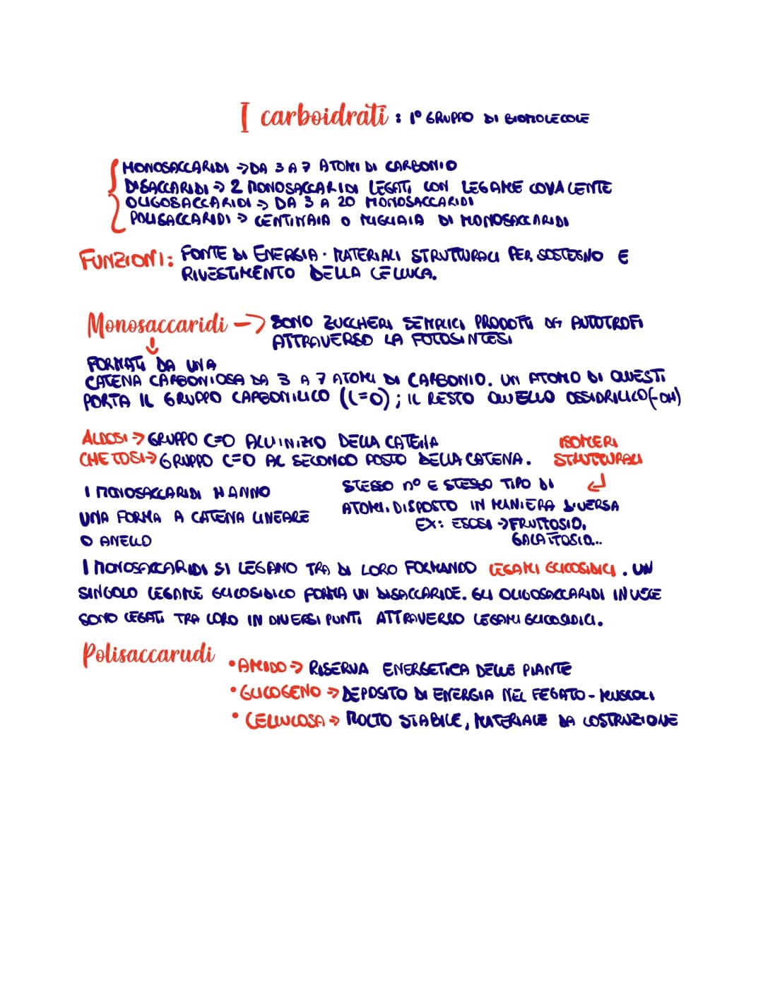 
<p>I carboidrati costituiscono il 1° gruppo di biomolecole e possono essere divisi in diverse categorie in base al numero di atomi di carbo