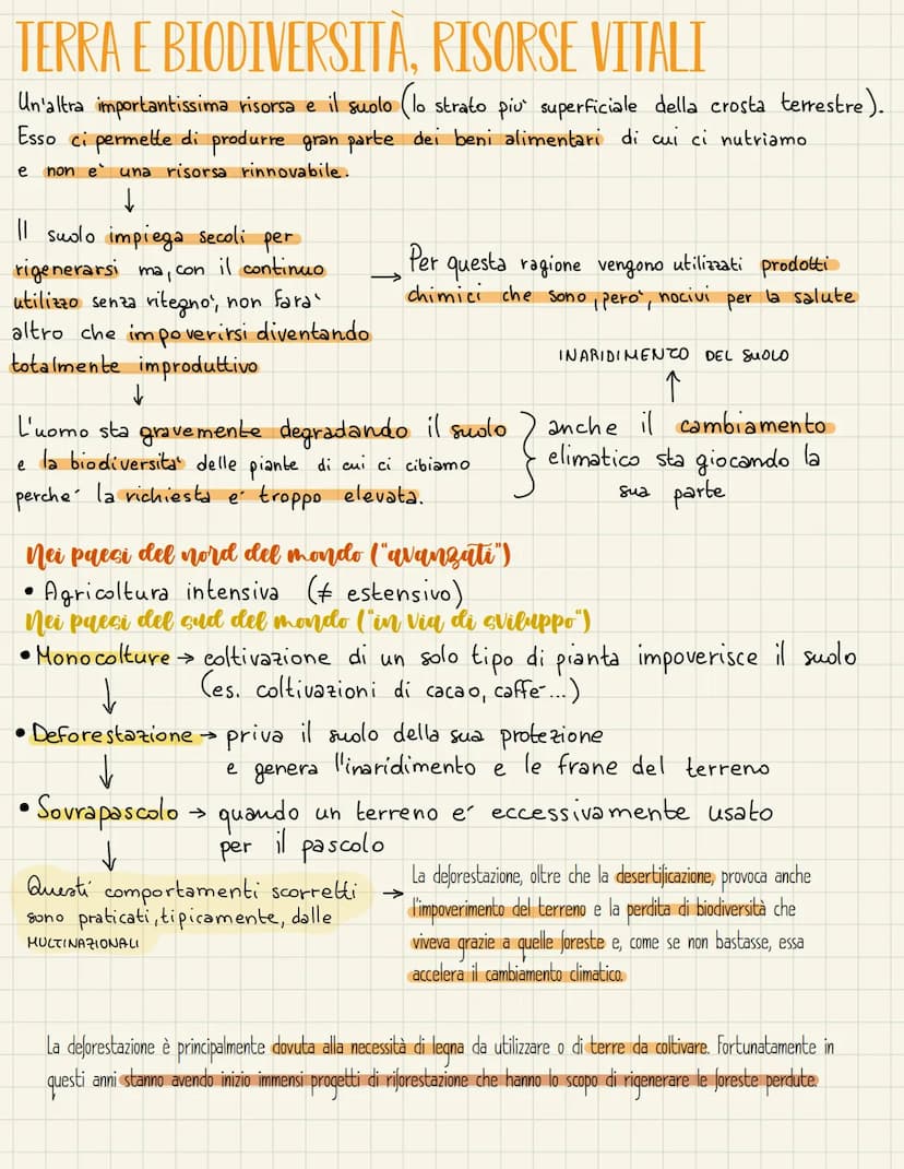 L'ACQUA
CICLO
DELL'ACQUA
= e'una risorsa essenziale presente in grandissime
quantità sul pianeta Terra---
●
Idrosfera
È l'insieme di tutta l