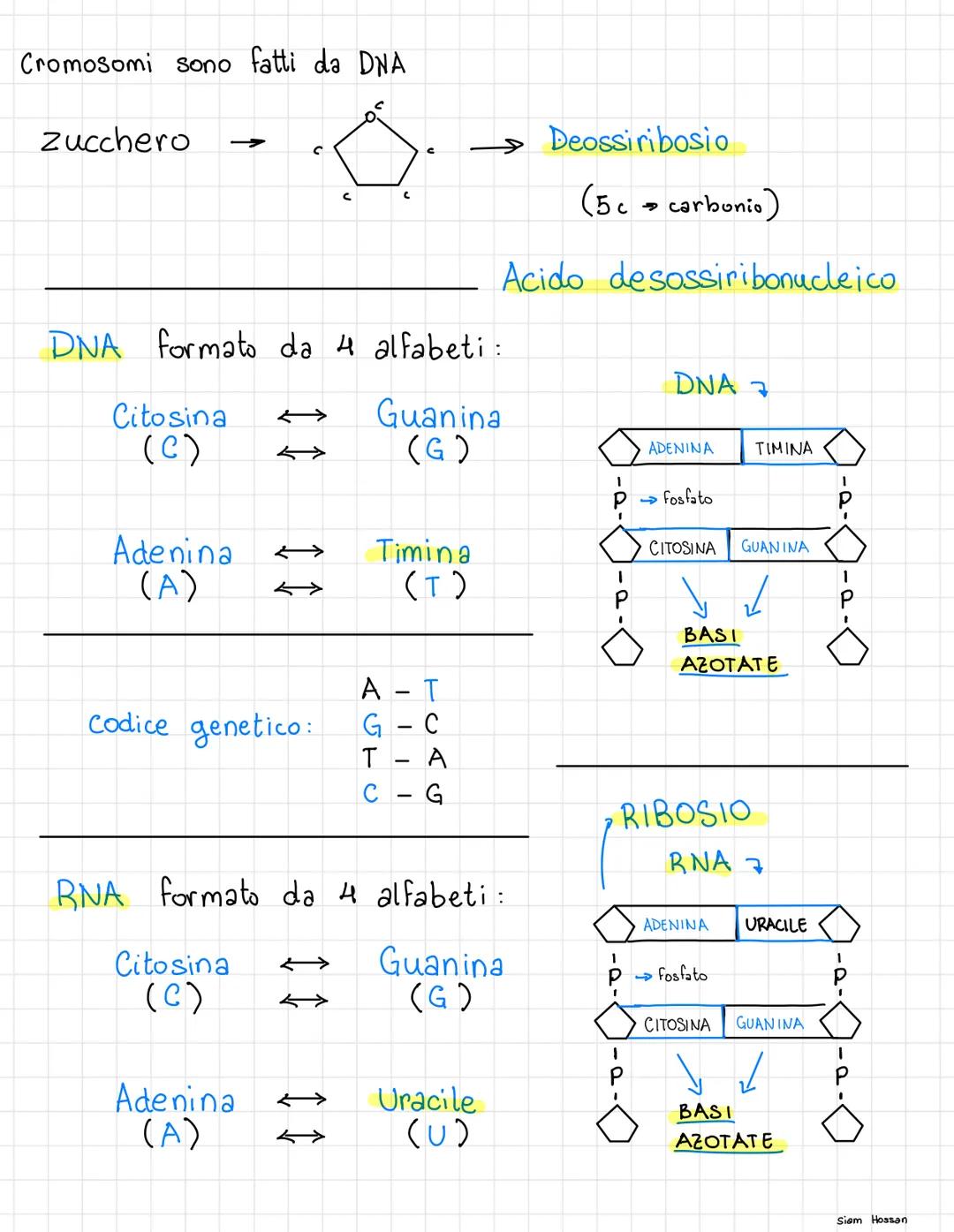 --- OCR Start ---
CELLULE
La cellula è la più piccola unità di un essere vivente in grado
di funzionare in modo autonomo
PROCARIOT E
e antic