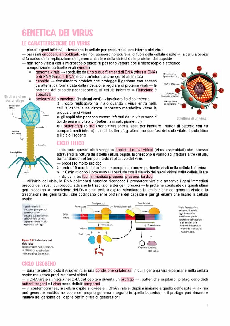Know biotecnologie thumbnail