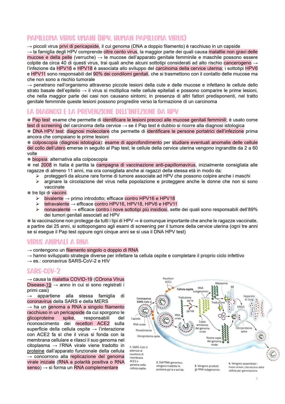 GENETICA DEI VIRUS
LE CARATTERISTICHE DEI VIRUS
→ piccoli agenti infettivi → invadono le cellule per produrre al loro interno altri virus
→ 