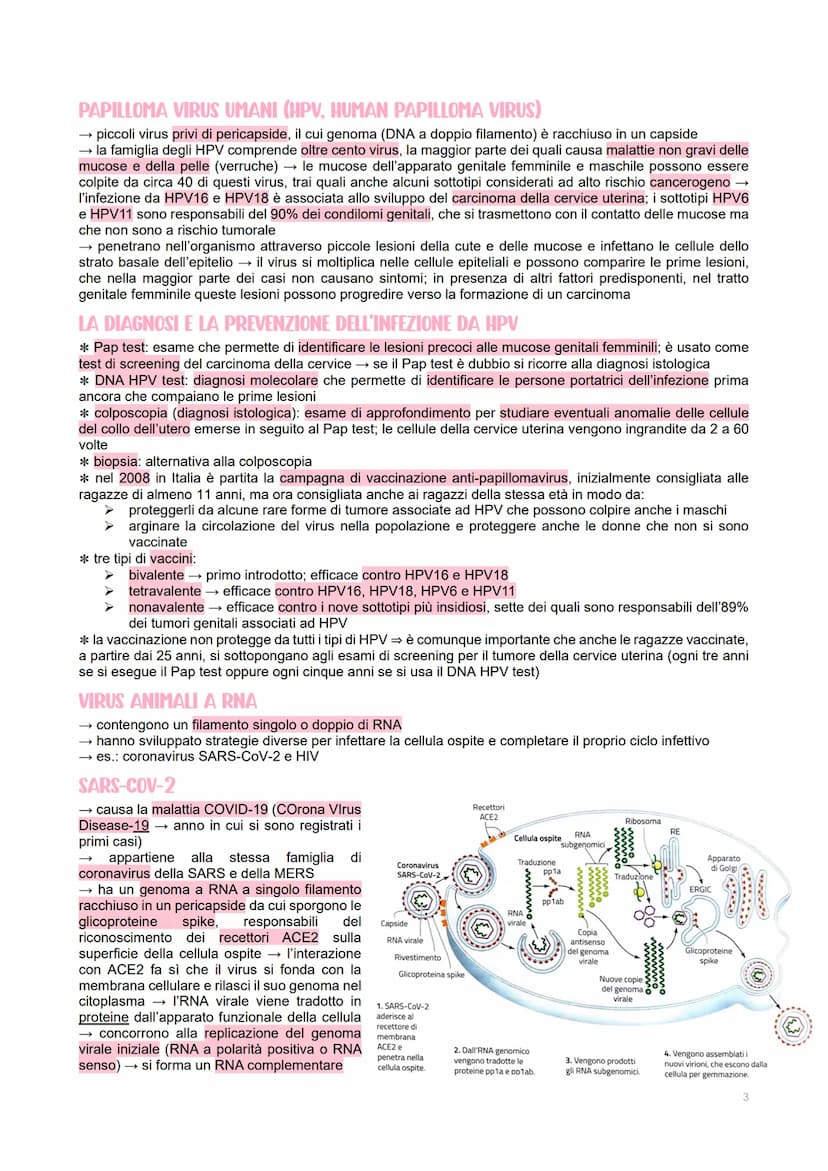 GENETICA DEI VIRUS
LE CARATTERISTICHE DEI VIRUS
→ piccoli agenti infettivi → invadono le cellule per produrre al loro interno altri virus
→ 