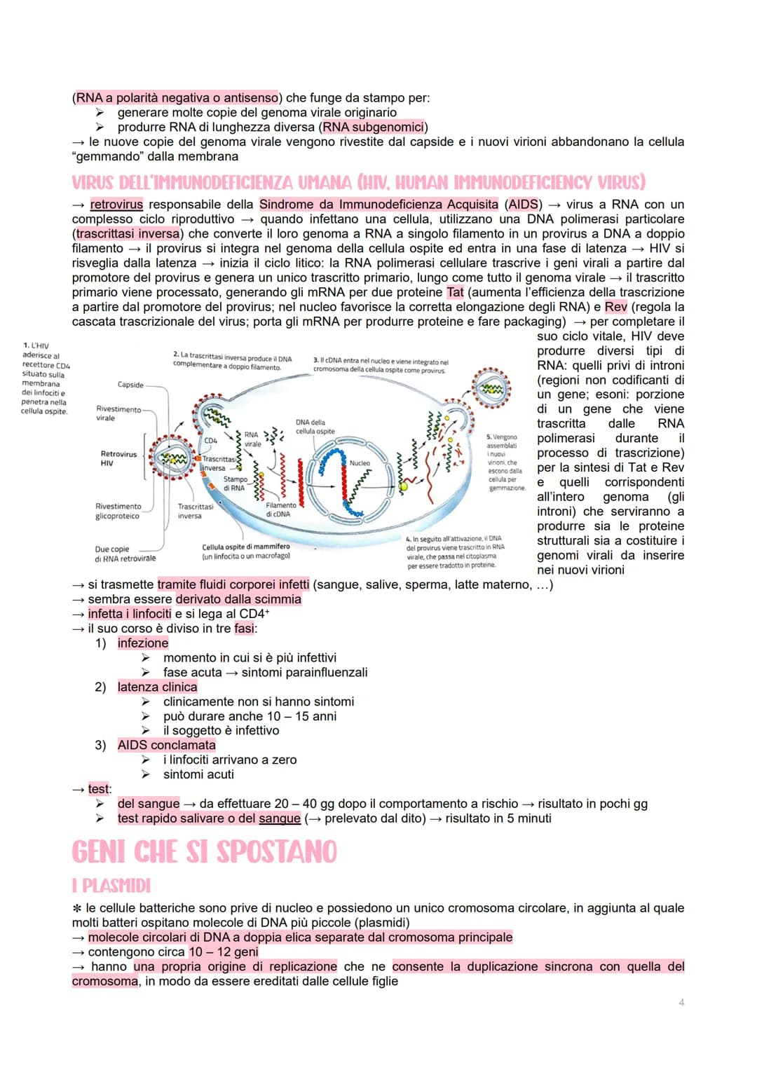 GENETICA DEI VIRUS
LE CARATTERISTICHE DEI VIRUS
→ piccoli agenti infettivi → invadono le cellule per produrre al loro interno altri virus
→ 