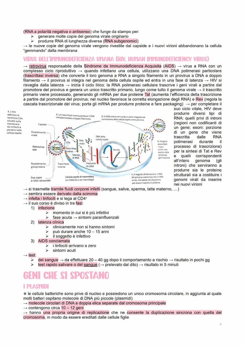 GENETICA DEI VIRUS
LE CARATTERISTICHE DEI VIRUS
→ piccoli agenti infettivi → invadono le cellule per produrre al loro interno altri virus
→ 