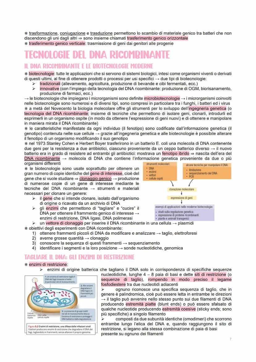 GENETICA DEI VIRUS
LE CARATTERISTICHE DEI VIRUS
→ piccoli agenti infettivi → invadono le cellule per produrre al loro interno altri virus
→ 