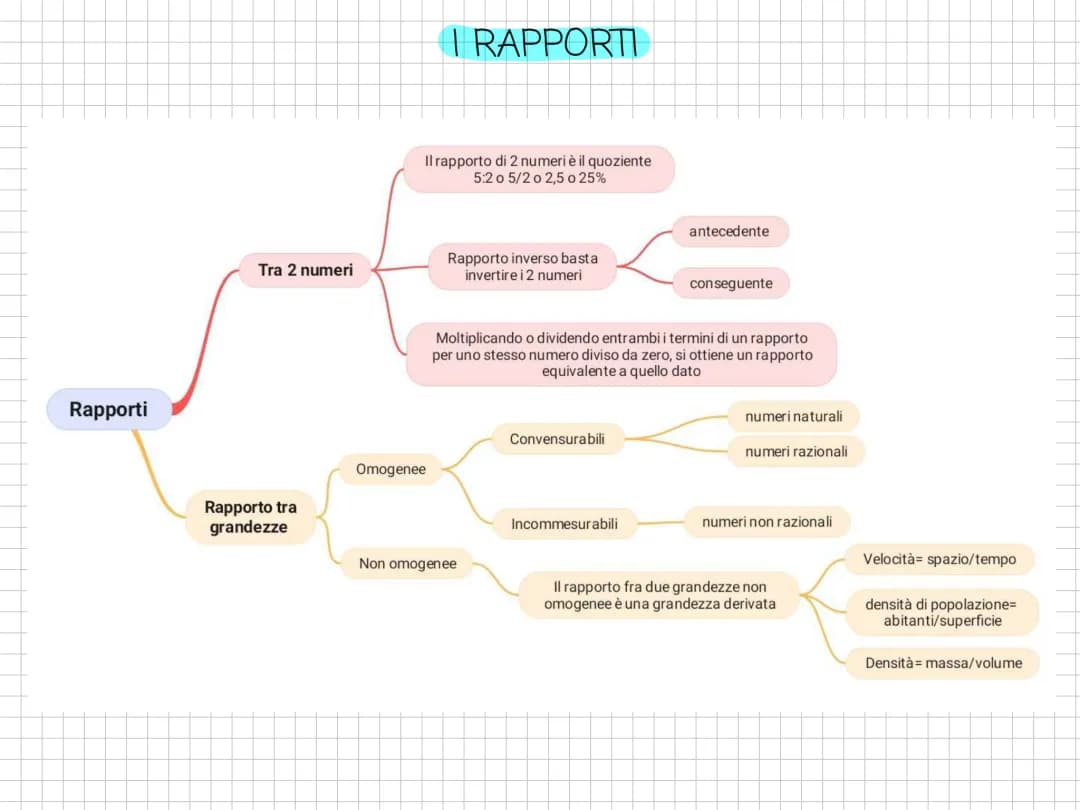 I rapporti 