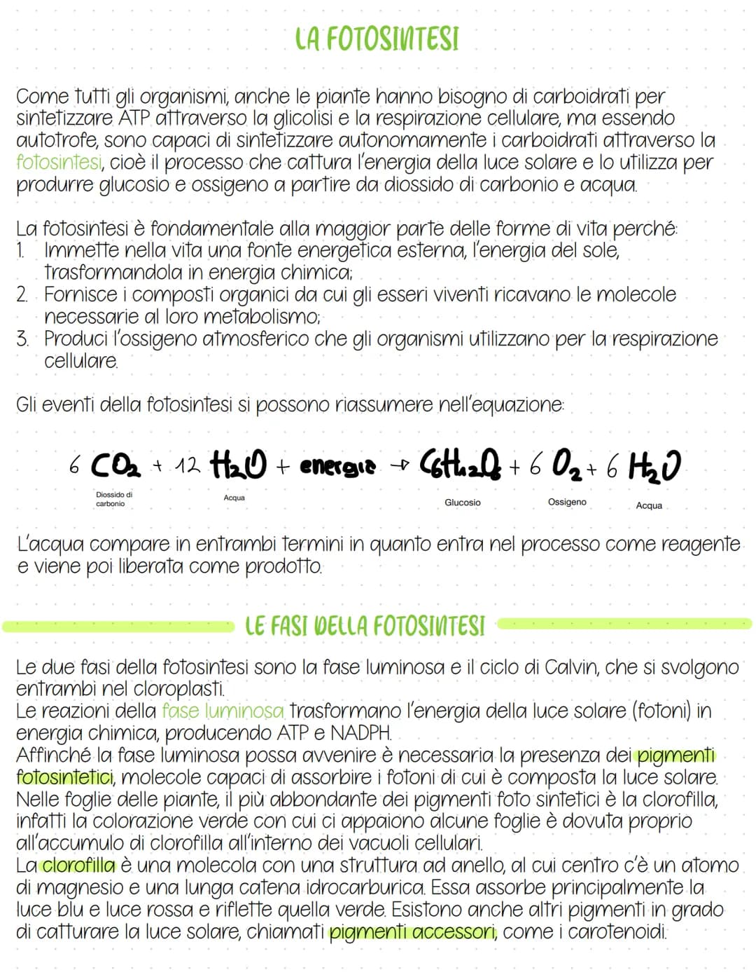 # LA FOTOSINTESI

Come tutti gli organismi, anche le piante hanno bisogno di carboidrati per
sintetizzare ATP attraverso la glicolisi e la r
