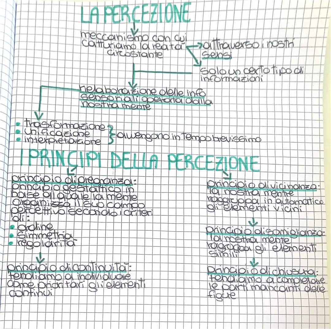 La percezione e i suoi principi: mappa concettuale per ragazzi