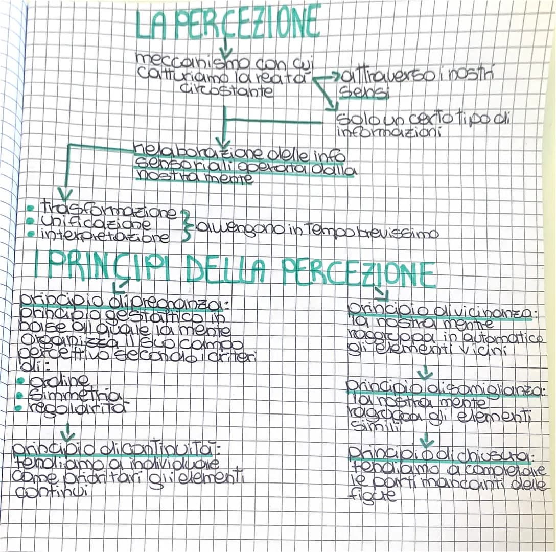 CU
V
LA PERCEZIONE
meccanismo con cui
Caltturiamo la reata
circostante
ordine,
Simmetria
repolarita
princip
princip
Preoncinza:
Statico in
b