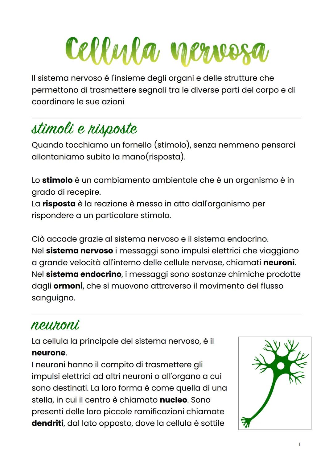 Cellula nervosa
Il sistema nervoso è l'insieme degli organi e delle strutture che
permettono di trasmettere segnali tra le diverse parti del