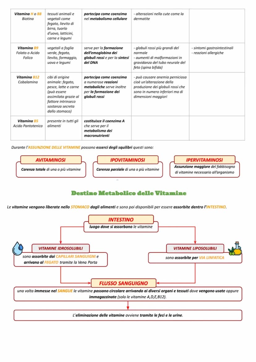 LE VITAMINE
Le VITAMINE sono MICRONUTRIENTI che sono necessarie all'organismo in piccole quantità per lo svolgimento delle funzioni vitali. 