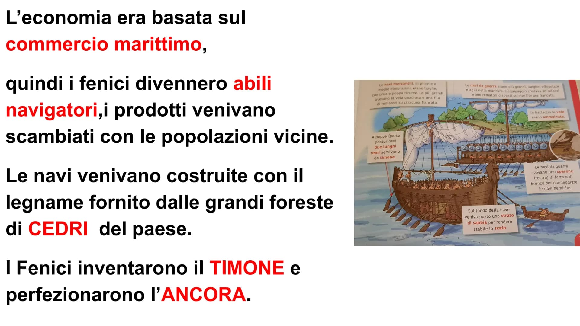 I FENICI
I Fenici si stabilirono in un territorio
montuoso che si affaccia sul mar
Mediterraneo.Oggi corrisponde
all'attuale LIBANO.
Fondaro