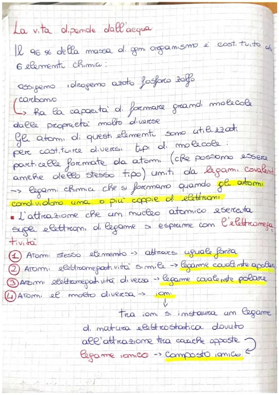 Biologia: l'importanza dell'acqua e delle biomolecole