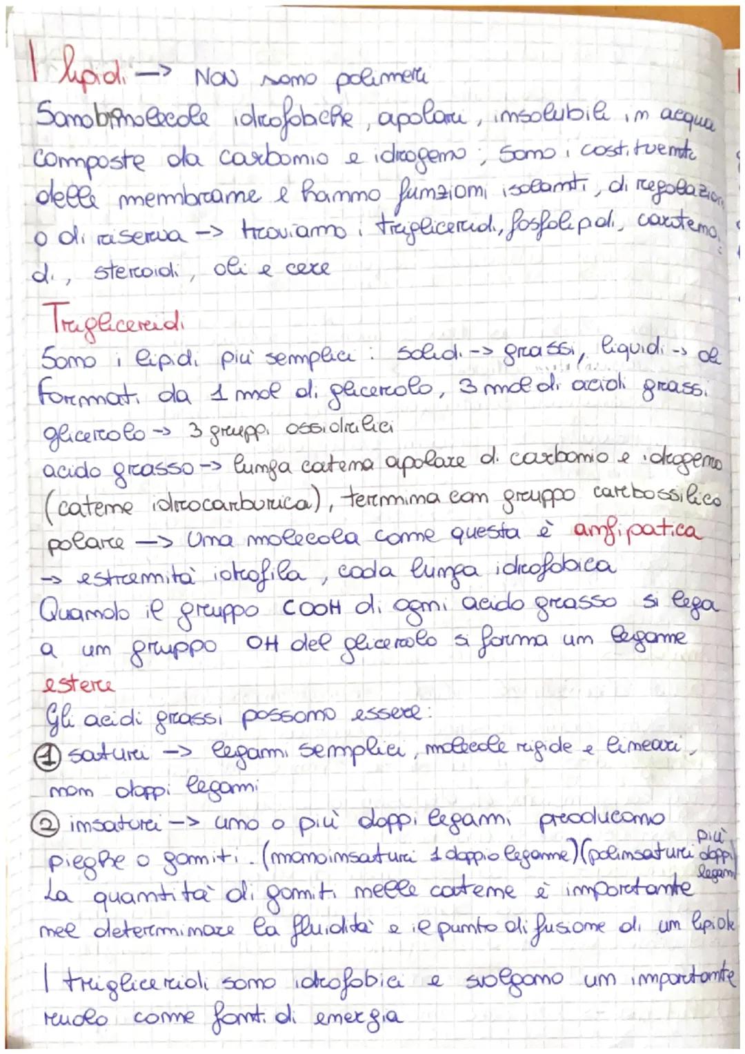 La vita dipende dall'acqua
Il 96% della massa di gemi organismo è
6 elementi chimia:
assigemo idrogemo azoto fosforo zaffo
carbonio
(can
cos