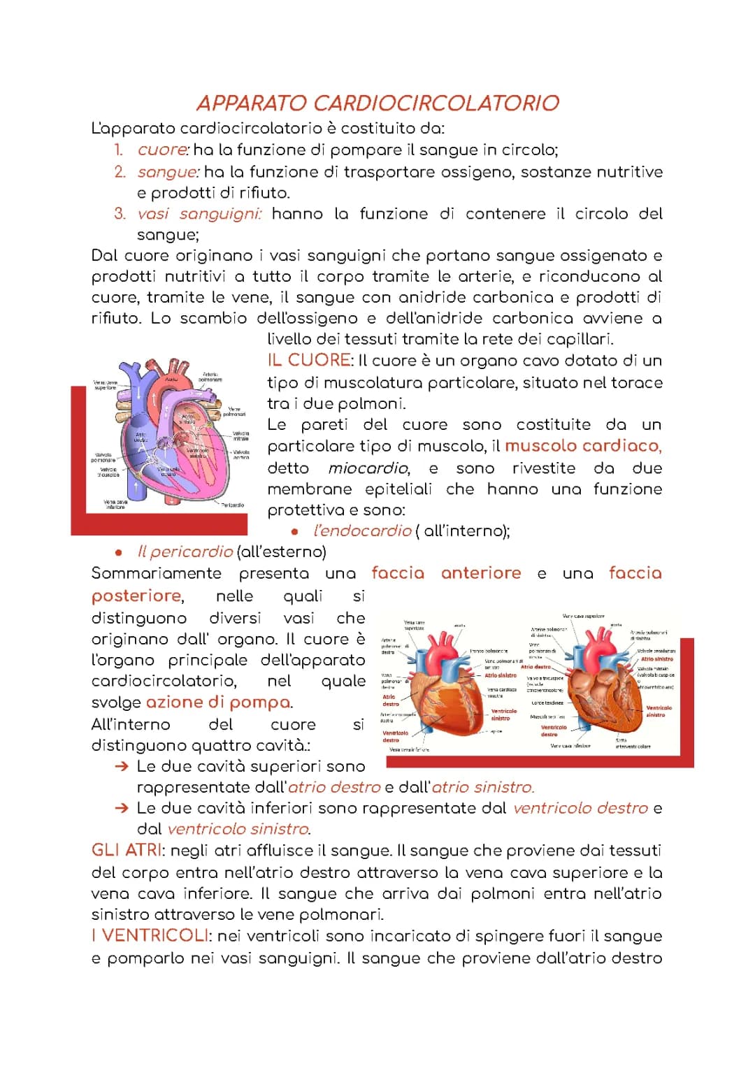 apparato cardiocircolatorio e respiratorio 