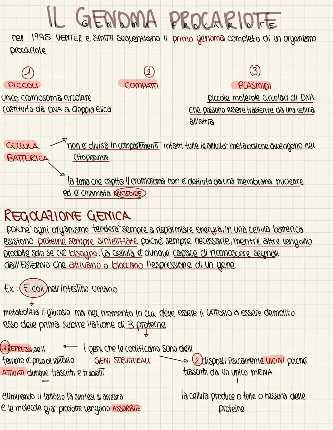 IL GENDMA PROCARIOTE
nel 1995 VENTER e SMITH sequentiano il primo genoma completo di un organismo
procariote
PICCOLI
Unico cromosoma circola