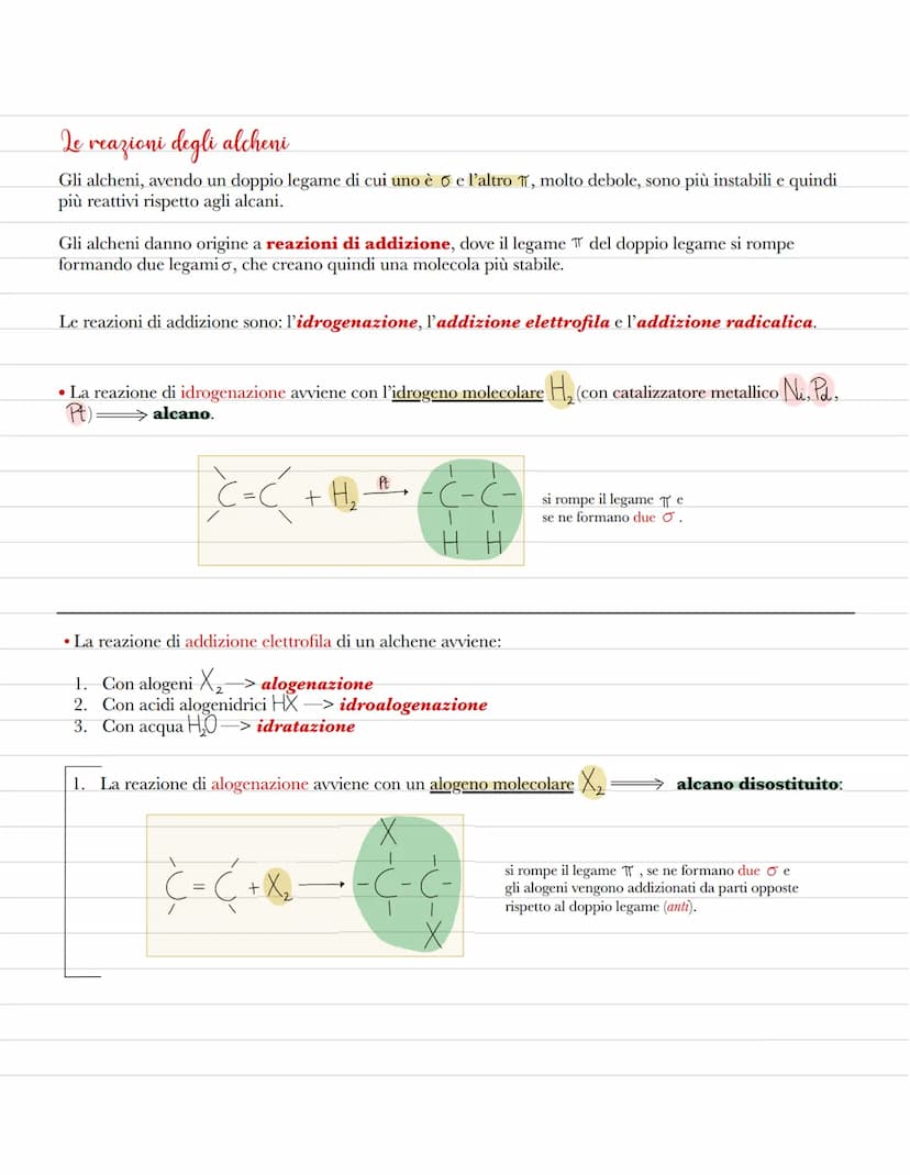 Gli idrocarburi
Gli idrocarburi sono composti organici formati esclusivamente da atomi di idrogeno e di carbonio. Essi,
a seconda della loro