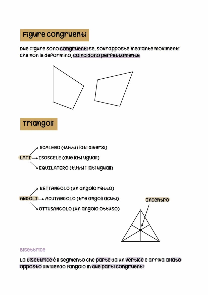 Geometria
Definizioni e teoremi
Geometria= geo→terra, metria misura
La geometria nasce in Egitto perché era necessario misurare gli
appezzam
