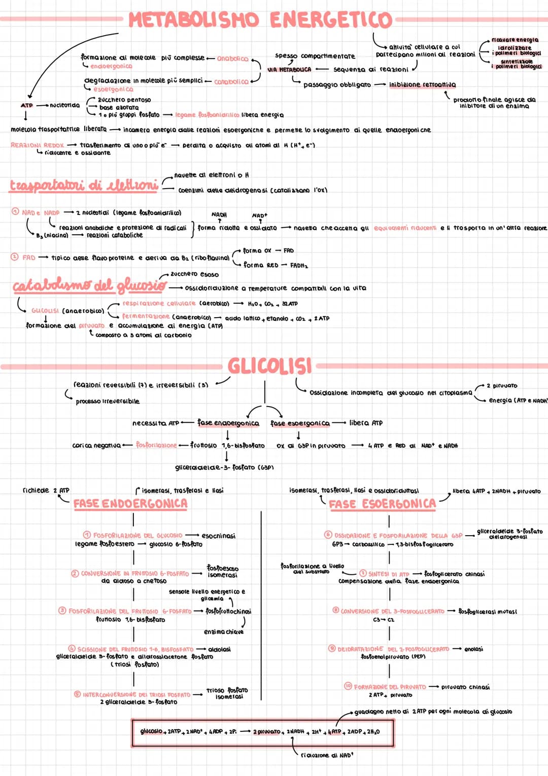 REAZIONI REDOX
METABOLISMO ENERGETICO
forma alone ai molecole più complesse anabolica
endoergonico
degradazione in molecole più semplici-cat