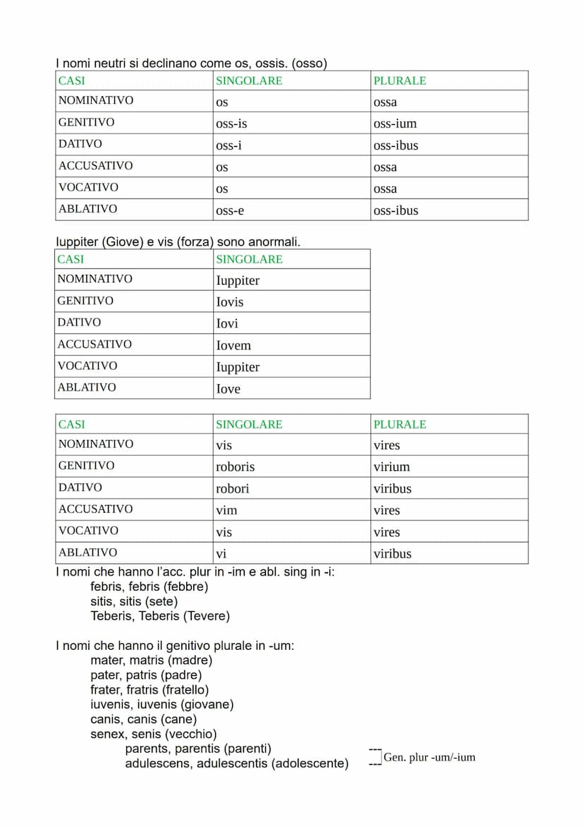 lezione del 29/03/23 - 4/04/23
LA 3° DECLINAZIONE
I nomi della 3° declinazione al genitivo escono in -is. Si dividono, però, in 2
categorie 