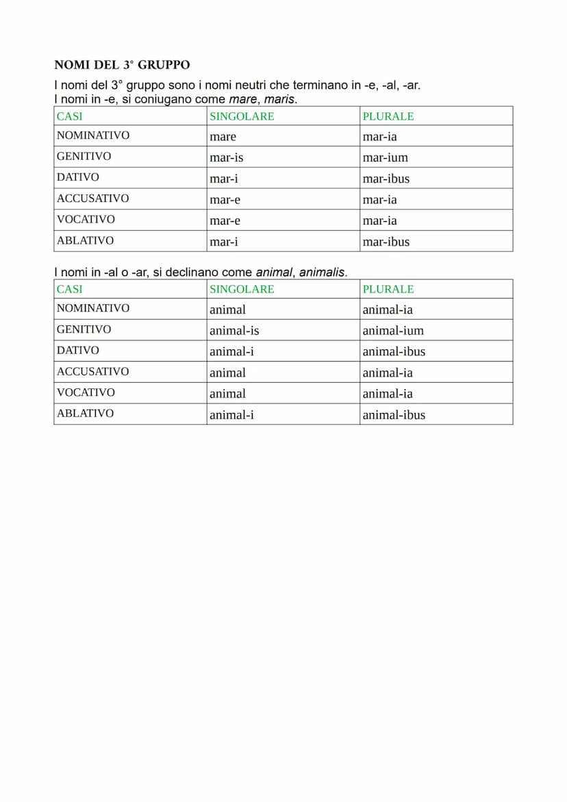 lezione del 29/03/23 - 4/04/23
LA 3° DECLINAZIONE
I nomi della 3° declinazione al genitivo escono in -is. Si dividono, però, in 2
categorie 