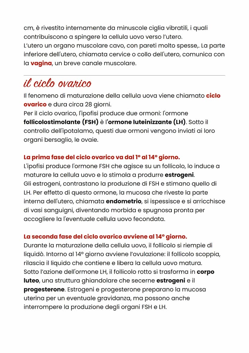 Apparato riproduttore
femminile
L'apparato riproduttore femminile ha la funzione di produrre i gameti
femminili, accogliere lo sperma e nutr