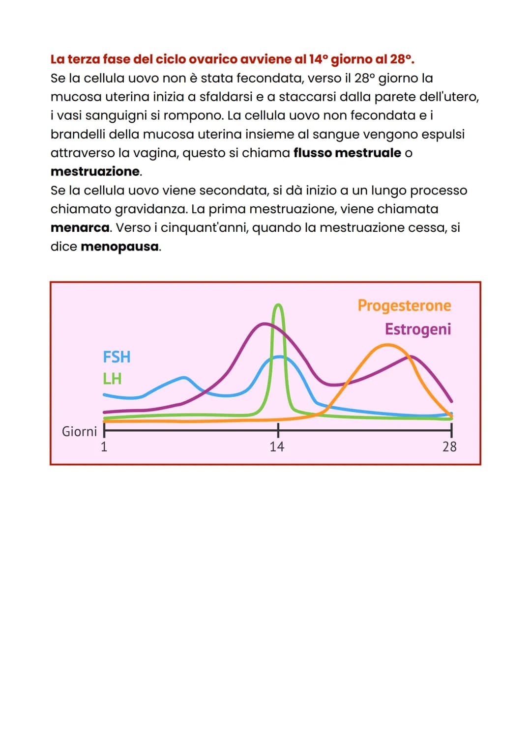 Apparato riproduttore
femminile
L'apparato riproduttore femminile ha la funzione di produrre i gameti
femminili, accogliere lo sperma e nutr