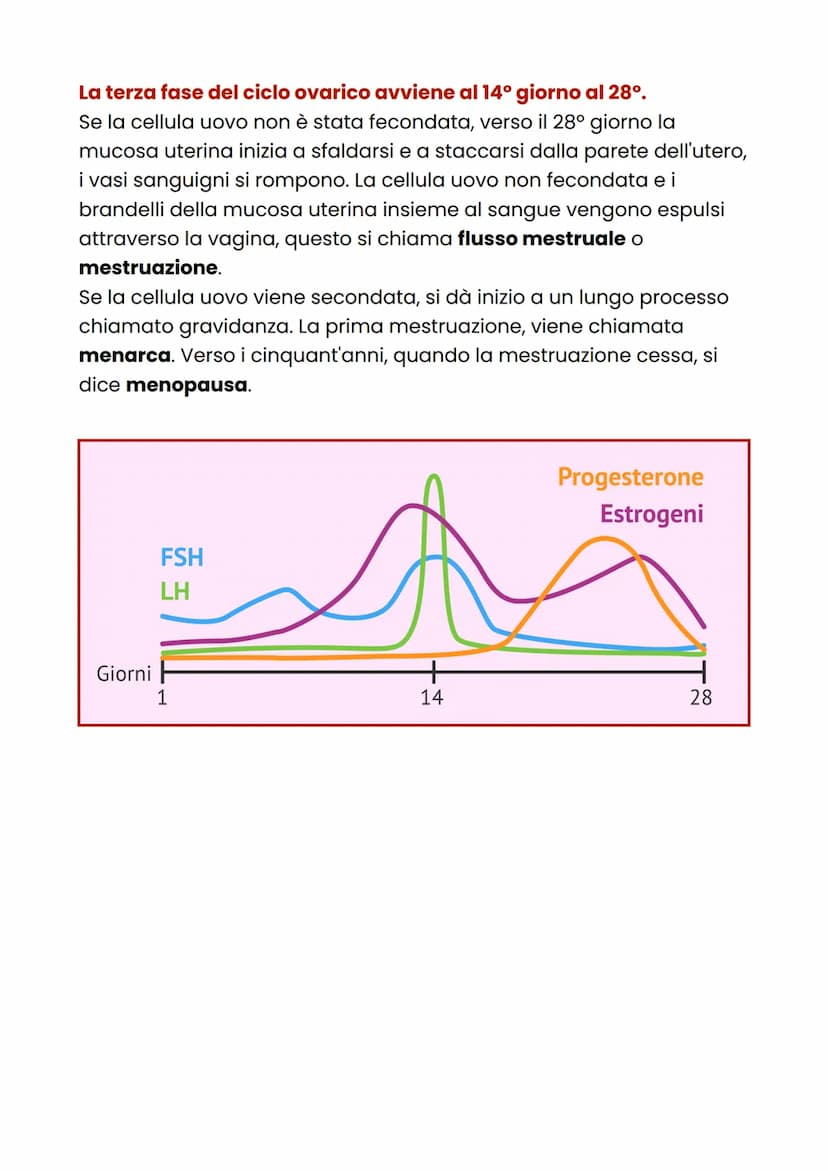 Apparato riproduttore
femminile
L'apparato riproduttore femminile ha la funzione di produrre i gameti
femminili, accogliere lo sperma e nutr