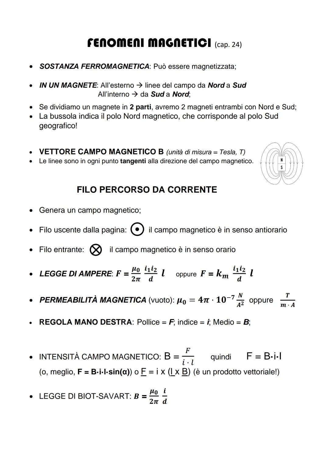 ● SOSTANZA FERROMAGNETICA: Può essere magnetizzata;
IN UN MAGNETE: All'esterno → linee del campo da Nord a Sud
All'interno da Sud a Nord;
●
