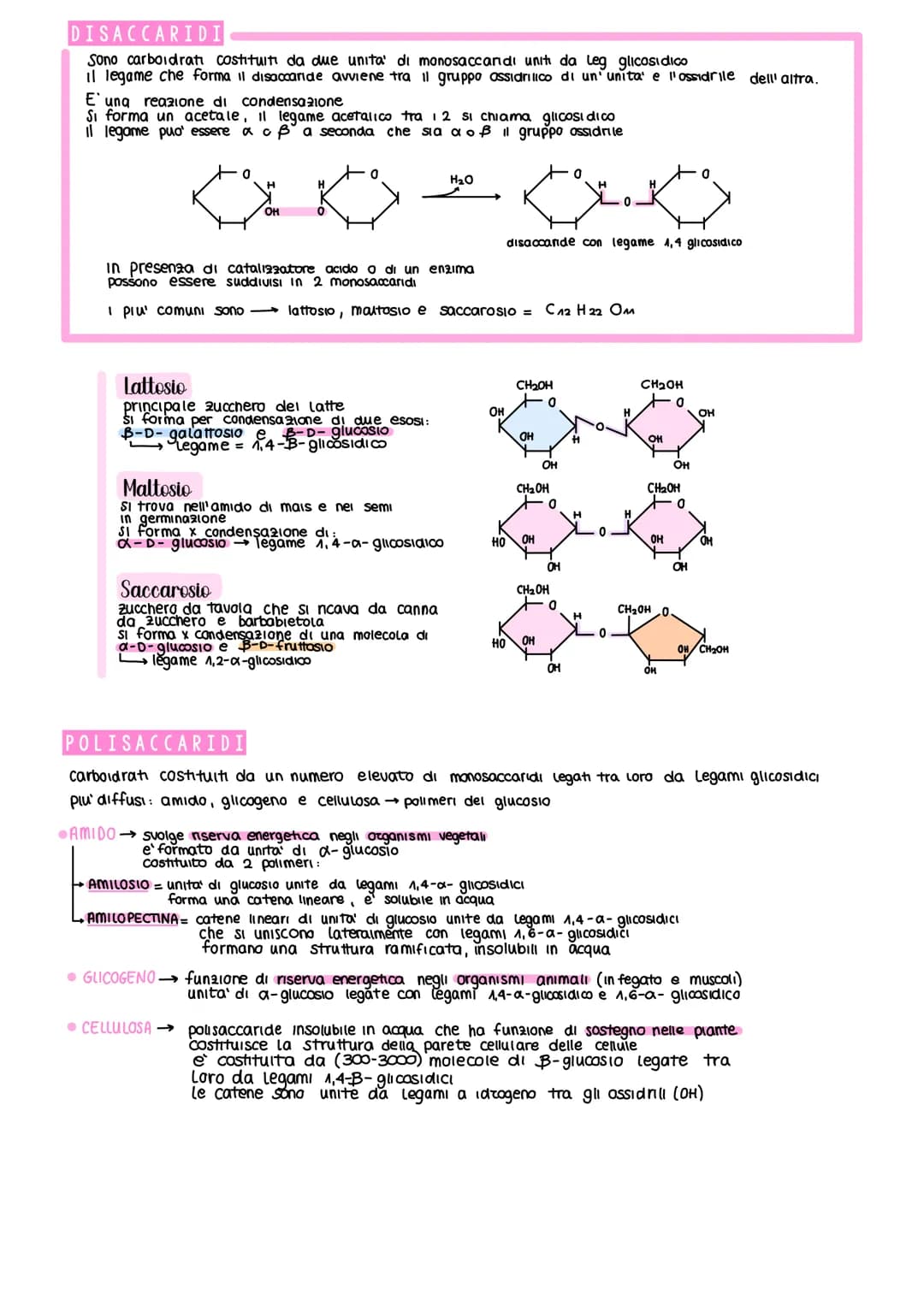 BIOMOLECOLE
le biomolecole formano le cellule e sono le protagoniste del metabolismo cellulare
SI Suddividono in 4 classi fondamentall
CARBO